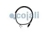 Датчик наружной температуры COJALI (2262009) изображение 1