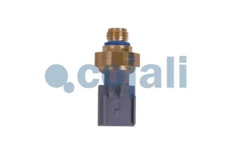Датчик тиску у впускному колекторі CUMMINS COJALI 2262035