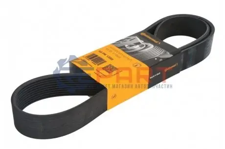 Поліклиновий ремінь Contitech 10PK1350
