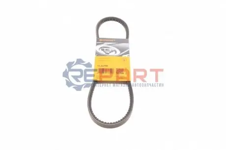 Фото 1 — Ремінь генератора VW Caddy/Golf III/IV/Passat 1.6 91-99 (11.5x755) Contitech (115X755LD) Фото Ремінь генератора VW Caddy/Golf III/IV/Passat 1.6 91-99 (11.5x755) Contitech (115X755LD) зображення 1