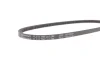 Ремінь генератора Audi 100/200/VW Caddy II/Golf III/IV/Passat/Sharan -04 Contitech (11.5X790) зображення 3