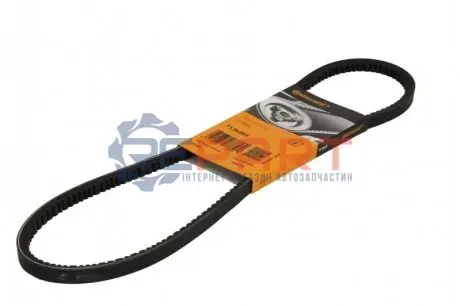 Фото 1 — Клиновий ремінь Contitech (119X903) Фото Клиновий ремінь Contitech (119X903) зображення 1