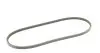 Фото Поликлиновой VW CONTI Contitech (11,9X965Ld) изображение 5