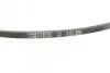 Фото Поліклиновий ремінь (2PK800) SEAT TOLEDO I VW GOLF III, GOLF IV, PASSAT B3/B4, POLO, POLO III, POLO III CLASSIC, VENTO 1.4-2.8 02.88-06.02 Contitech (2PJ800) зображення 3