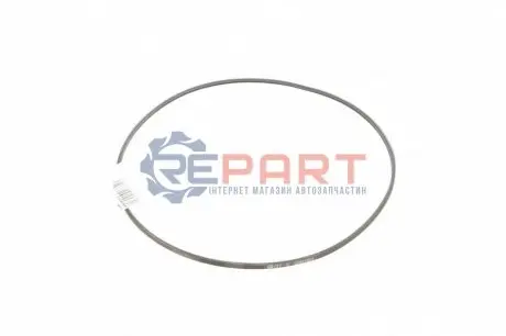 Поліклиновий ремінь (2PK800) SEAT TOLEDO I VW GOLF III, GOLF IV, PASSAT B3/B4, POLO, POLO III, POLO III CLASSIC, VENTO 1.4-2.8 02.88-06.02 Contitech 2PJ800 Купити в Україні