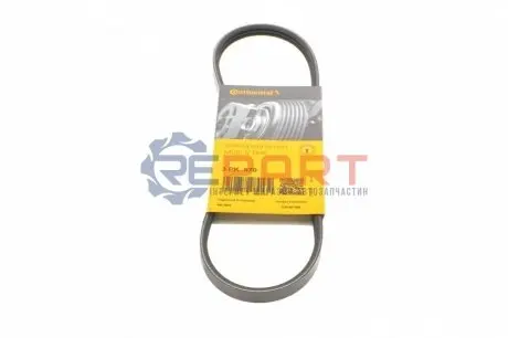 Фото 1 — Ремень поликлиновый Contitech (3PK670) Фото Ремень поликлиновый Contitech (3PK670) изображение 1