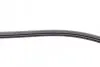 Фото Поліклиновий ремінь FIAT BRAVA, BRAVO I, DOBLO, MAREA, PALIO, PUNTO, SIENA, STRADA, TIPO LANCIA Y NISSAN MICRA I 1.1-1.6 07.86 Contitech (3PK915) зображення 3
