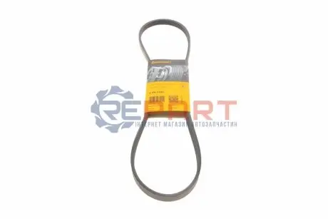 Ремень поликлиновый Contitech 4PK1020 Купить в Украине