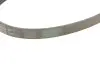 Фото Поліклиновий ремінь CITROEN AX HONDA CRX III JAGUAR XJ KIA CARENS I, SEPHIA, SHUMA SUZUKI GRAND VITARA I, GRAND VITARA II 1.0-4.0 02.87-12.08 Contitech (4PK1020) зображення 5