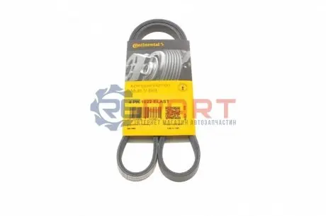 Поліклиновий ремінь (4PK1022) FIAT DOBLO, FIORINO, LINEA, PALIO, QUBO, SIENA, STRADA 1.3D 06.03 Contitech 4PK1022ELAST Купити в Україні