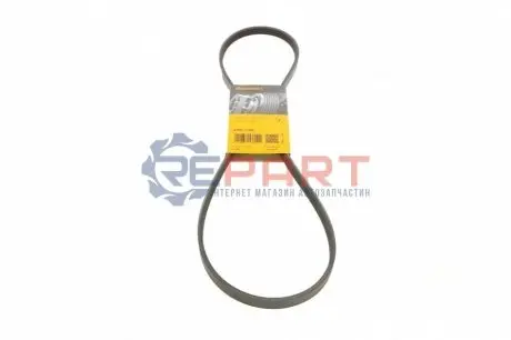 Ремінь генератора Renault Twingo 1.2 93-96 (4PK1165) Contitech 4PK1170 Купити в Україні