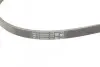 Фото Поліклиновий ремінь AUDI A4 B6, A4 B7, A6 C5, ALLROAD C5 PEUGEOT 205 I, 205 II, 305 II, 309 I, 309 II RENAULT CLIO I, RAPID, SAFRANE I 1.2-2.5D 10.82-05.06 Contitech (4PK1217) зображення 3
