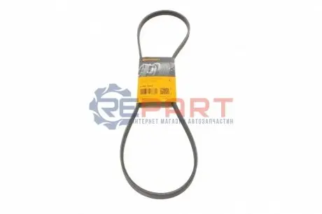 Фото Ремінь генератора Renault Clio/Kangoo 1.4i/1.6 98-03 Contitech (4PK1237) зображення 1