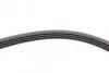 Фото Поліклиновий ремінь FORD TRANSIT, TRANSIT TOURNEO 2.4D/2.5D 10.85-12.00 Contitech (4PK1511) зображення 4