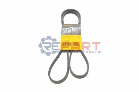 Дорожный пас Contitech 4PK1590 Купить в Украине