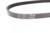 Фото Ремень генератора поликлиновый CONTINENTAL Contitech (4PK611) изображение 3