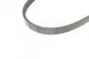 Фото Поліклиновий ремінь DACIA LOGAN, LOGAN EXPRESS, LOGAN MCV, SANDERO NISSAN BLUEBIRD, MICRA II, PRAIRIE PRO RENAULT KANGOO EXPRESS, KANGOO II SUBARU JUSTY I TOYOTA PREVIA I 1.0-2.4 04.84 Contitech (4PK725) зображення 3