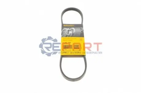 Поліклиновий ремінь DACIA LOGAN, LOGAN EXPRESS, LOGAN MCV, SANDERO NISSAN BLUEBIRD, MICRA II, PRAIRIE PRO RENAULT KANGOO EXPRESS, KANGOO II SUBARU JUSTY I TOYOTA PREVIA I 1.0-2.4 04.84 Contitech 4PK725 Купити в Україні
