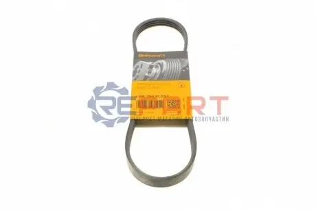 Поліклиновий ремінь (4PK753) SMART FORTWO 1.0 01.07 Contitech 4PK753ELAST Купити в Україні