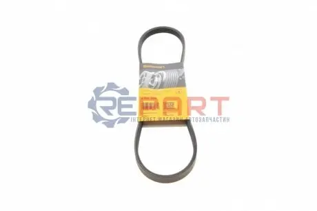 Ремінь генератора Fiat Sedici/Honda Civic/Kia Pride/Opel Omega B 1.6-4.4 88-14 Contitech 4PK800 Купити в Україні