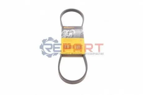 Ремінь генератора Fiat Sedici/Honda Civic/Kia Pride/Opel Omega B 1.6-4.4 88-14 Contitech 4PK805 Купити в Україні