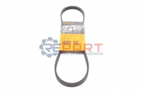 Ремінь генератора Nissan Almera/Primera/Sunny 1.0-5.0 82- Contitech 4PK810 Купити в Україні