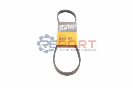 Ремінь генератора Nissan Almera/Primera/Sunny 1.0-5.0 82- Contitech 4PK815 Купити в Україні