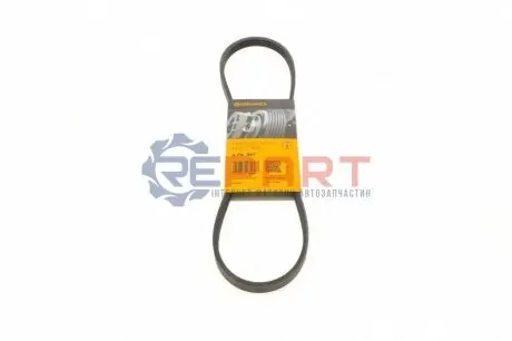 Ремінь генератора Fiat Doblo 1.2 01- (AC) Contitech 4PK841 Купити в Україні