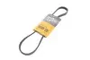Фото Дорожный пас Contitech (4PK844ELAST) изображение 1