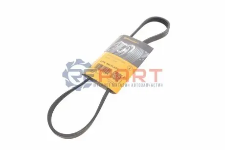 Дорожный пас Contitech 4PK844ELAST Купить в Украине