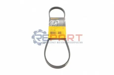 Ремінь генератора Honda Civic VI/Nissan Primera 1.3-6.0 87- Contitech 4PK845 Купити в Україні