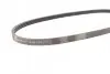 Фото Ремень генератора поликлиновый CONTINENTAL Contitech (4PK875) изображение 2