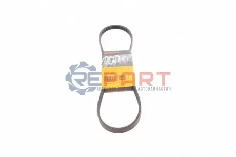 Ремінь генератора Mazda 323 1.3-1.8 -93/Hyundai Elantra 2.0 00-06/Toyota Camry 3.0 96-06 Contitech 4PK875 Купити в Україні