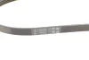 Ремень генератора поликлиновый CONTINENTAL Contitech (4PK890) изображение 4