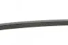 Фото Поліклиновий ремінь CHRYSLER VOYAGER III, VOYAGER IV DACIA LOGAN, SANDERO DODGE CARAVAN FIAT PALIO, SCUDO, SIENA, STRADA, TEMPRA, UNO MAZDA XEDOS 9 NISSAN KUBISTAR 1.0-2.5 09.89 Contitech (4PK905) зображення 2