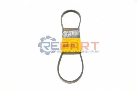 Поліклиновий ремінь CHRYSLER VOYAGER III, VOYAGER IV DACIA LOGAN, SANDERO DODGE CARAVAN FIAT PALIO, SCUDO, SIENA, STRADA, TEMPRA, UNO MAZDA XEDOS 9 NISSAN KUBISTAR 1.0-2.5 09.89 Contitech 4PK905 Купити в Україні