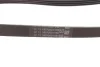 Ремень генератора поликлиновый CONTINENTAL Contitech (4PK917ELAST) изображение 3