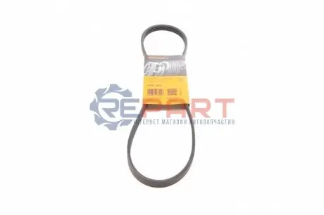 Ремінь генератора Renault Kangoo/Nissan Kubistar 1.2 16V 97- Contitech 4PK920 Купити в Україні