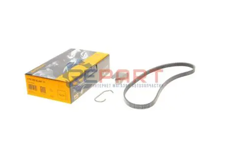 Поліклиновий ремінь CITROEN JUMPER II FIAT DUCATO FORD TOURNEO CUSTOM V362, TRANSIT, TRANSIT CUSTOM V362, TRANSIT TOURNEO, TRANSIT V363 PEUGEOT BOXER 2.2D 04.06 Contitech 4PK922 ELAST T1 Купити в Україні