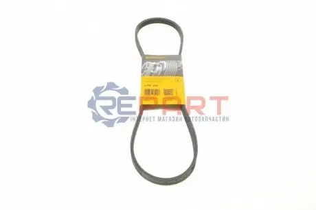 Фото Ремінь генератора BMW 3 (E46)/Kia Rio 00-05 Contitech (4PK970) зображення 1