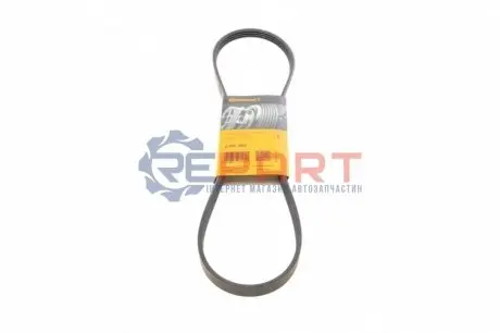 Ремінь генератора Renault Kangoo 1.4i 97-/ Mitsubishi L 300 2.0 86-04/ Hyundai Santamo 2.0 99-02 Contitech 4PK990 Купити в Україні