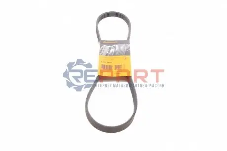 Фото Ремінь генератора Daewoo Lanos/Nexia 1.6 95- Contitech (5PK1005) зображення 1