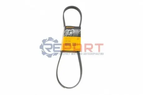 Ремінь генератора Mazda 626 1.8-2.2 86-96/Opel Kadett 1.6 86-94/Ford Escort 1.8D 88-95 Contitech 5PK1010 Купити в Україні