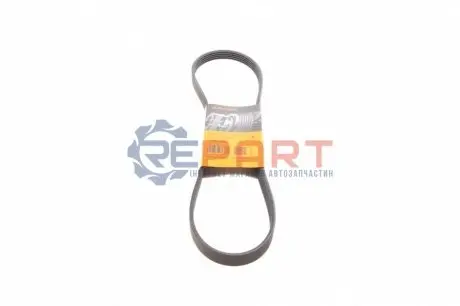 Ремінь генератора Renaul Trucks Kerax/Premium 9.8-11.1 96- Contitech 5PK1025 Купити в Україні