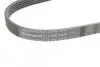 Фото Ремінь генератора Mazda 323/626/Opel Astra G/Vectra B/C 2.0/2.2 00-08 Contitech (5PK1030) зображення 4