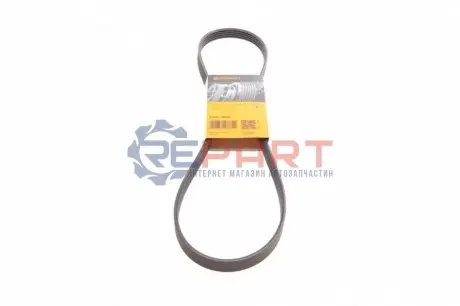 Фото 1 — Ремінь генератора Mitsubishi Galant/Lancer 95-04/Toyota Corolla 1.3 84-97 Contitech (5PK1070) Фото Ремінь генератора Mitsubishi Galant/Lancer 95-04/Toyota Corolla 1.3 84-97 Contitech (5PK1070) зображення 1