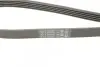 Фото Ремень генератора поликлиновый CONTINENTAL Contitech (5PK1120) изображение 4