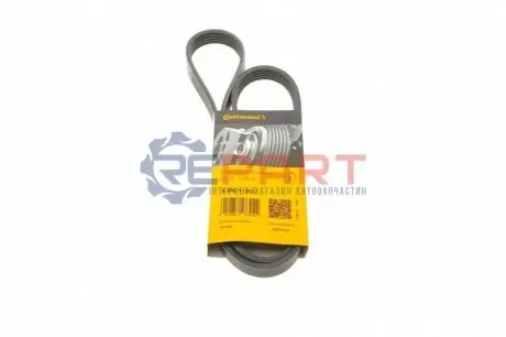 Ремень генератора поликлиновый CONTINENTAL Contitech 5PK1120 Купить в Украине