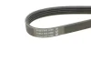 Ремень генератора поликлиновый CONTINENTAL Contitech (5PK1125) изображение 3
