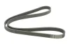 Ремень генератора поликлиновый CONTINENTAL Contitech (5PK1125) изображение 5